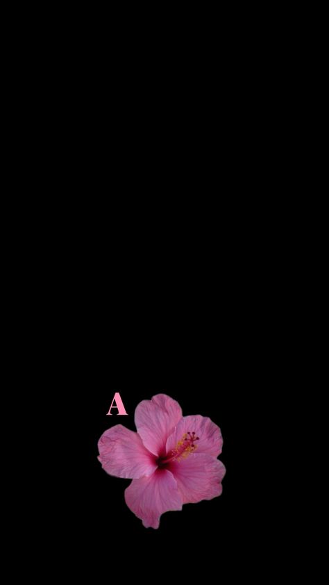 Initial Flower Wallpaper, Flower Wallpaper Initial, Flower Initial Wallpaper, A Letter Aesthetic Wallpaper, Initial A Wallpaper, Letter A Profile Picture, A Initial Wallpaper, A Wallpaper Letter Iphone, Aesthetic Letter A