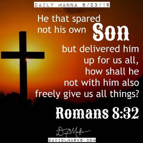 Romans 8:32 Bible Phrases, Romans 8 32, Podcast Production, Jesus Son, Romans 8, Daily Bible Verse, Daily Bible, Web Designer, Bible Verse