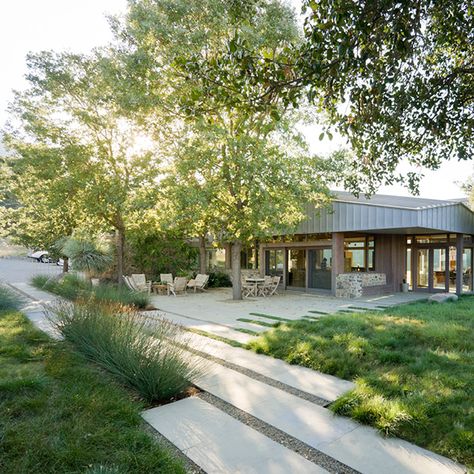 St. Helena Residence Andrea Cochran, Rectangular Swimming Pools, Naturalistic Garden, Agricultural Buildings, Concrete Paving, California Garden, Design Landscape, Paving Stones, St Helena