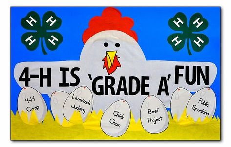 A cute idea for a 4-H Chicken Poster! 4h Chicken Poster Ideas, 4 H Banner Ideas, 4h Sayings, Dustpan Cookies, 4-h Poster Ideas, County Fair Projects, County Fair Theme, Hoco Posters, 4h Fair