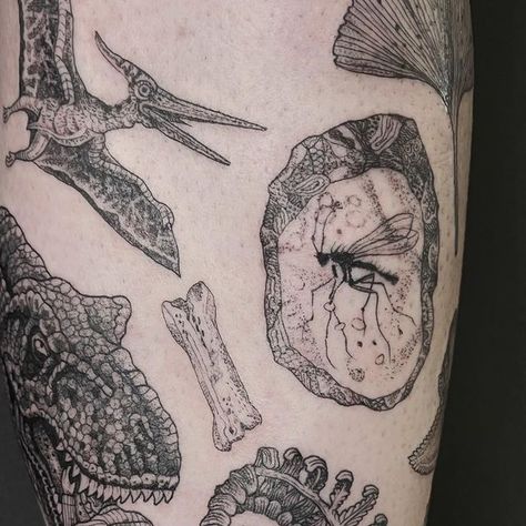 Susanne König on Instagram: "The project of my dreams, a dinosaur/ prehistoric/ jurassic park -ish themed leg, started this week with two days on mega trooper and dream client Jasper from Belgium! Thank you so much, I can’t wait to continue!!!🦖❤️ Done @raincitytattoocollective 

.
.
.
.
.
.
.
#suflanda #tattoo #dotworktattoo #dotwork #manchester #manchestertattooing #dinosaur #dinosaurtattoo #fineline #finelinetattoo #blackwork #blackworktattoo #ferntattoo #fossil #fossiltattoo #nerd #jurassicpark #jurassicworld #jurassicparktattoo #susasklubhaus" Dinotopia Tattoo, Dinraal Tattoo, Paleontology Tattoo, Suflanda Tattoo, Jurassic Park Tattoo Ideas, Dinosaur Sleeve Tattoo, Dinosaur Fossil Tattoo, Jurassic Park Tattoos, Jurrasic Park Tattoo