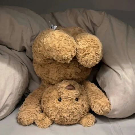 Teddy Bear Jellycat, Jellycat Teddy Bear, Stuffed Bear Aesthetic, Teddy Bear Aesthetic Pfp, Jelly Cat Bear, Teddies Aesthetic, Cute Teddy Bear Aesthetic, Jellycats Aesthetic, Cute Stuffed Animals Aesthetic