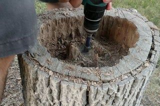 Tree Stump Decor, Birdcage Planter, Tree Stump Planter, Log Planter, Diy Tree, I Would Rather, Old Tree, Tree Stump, Diy Planters