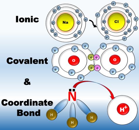 Ionic vs Covalent vs Coordinate Bond |Types of Chemical Bonds😊 Chemistry Animation For more chemistry tutorials, visit Digital Kemistry YouTube channel #chemistry #digitalkemistry #chemicalbonding #youtube Types Of Bonds Chemistry, Chemistry Bonds, Bonding Chemistry, Tattoos Science, Chemistry Animation, Covalent Bonds, Chemical Bonds, Chemical Bonding, Organic Chemistry Study