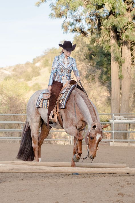 Western Horsemanship, Aqha Horses, Escondido California, Western Pleasure Horses, Reining Horses, Horse Show Clothes, Barrel Racing Horses, Rodeo Horses, Western Horse Tack