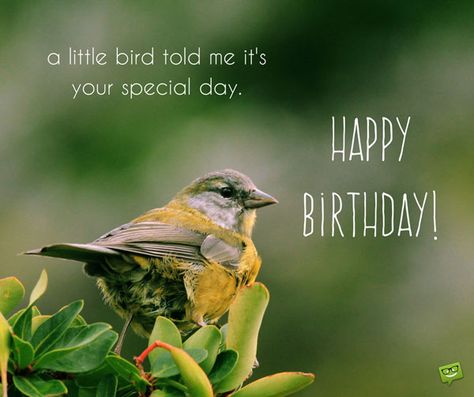 Happy Birthday Birds Beautiful, Happy Birthday Bird, Happy Birthday Birds, Cool Happy Birthday Images, Free Happy Birthday Cards, Snoopy Birthday, Happy Birthday Beautiful, Birthday Poems, Happy Birthday Wishes Quotes