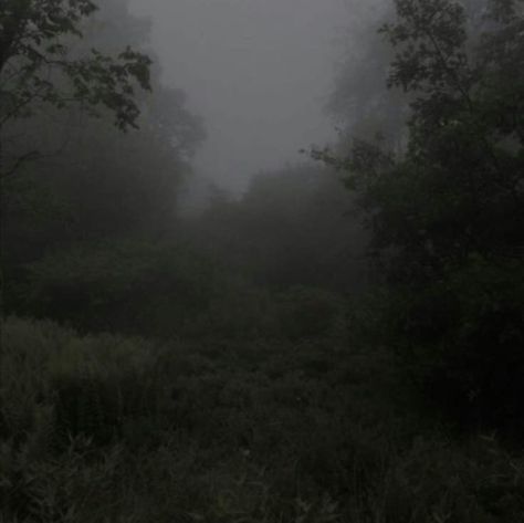 Gloomy Weather Aesthetic, Nature Forest Wallpaper, Dark Green Nature, Aesthetic Dark Green, Aesthetic Weather, Weather Aesthetic, Gloomy Weather, Back Yoga, Foggy Forest