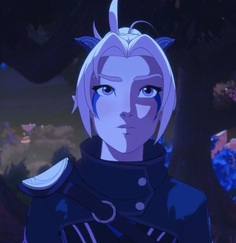 Dragon Prince Season 4, Rayla Dragon Prince, Prince Dragon, Prince Images, The Dragon Prince, A Series Of Unfortunate Events, Attack On Titan Fanart, Fictional Crushes, Disney Fan Art