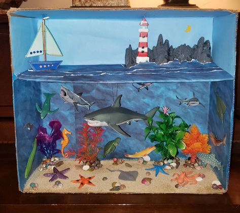 Shark Diorama, Underwater Diorama, Shark Habitat, Ocean Diorama, Ocean Art Projects, Biomes Project, Diorama Kids, Diarama Ideas, Aquarium Craft