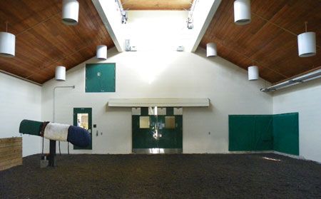 Horse Breeding Facility, Equine Vet Clinic Layout, Equine Breeding Facility, Equine Vet Clinic, Veterinary Comfort Room, Large Animal Vet Clinic Design, Euthanasia Room Vet Clinic, Equine Veterinarian, Equine Veterinary