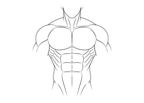 This tutorial shows how to draw a muscular male body in the anime and manga style with a step by step breakdown of the various muscle groups. Anime Muscular, Male Body Drawing, Figure Drawing Tutorial, Drawing Anime Bodies, Muscular Male, Base Anime, How To Draw Anime, Body Drawing Tutorial, Human Anatomy Drawing