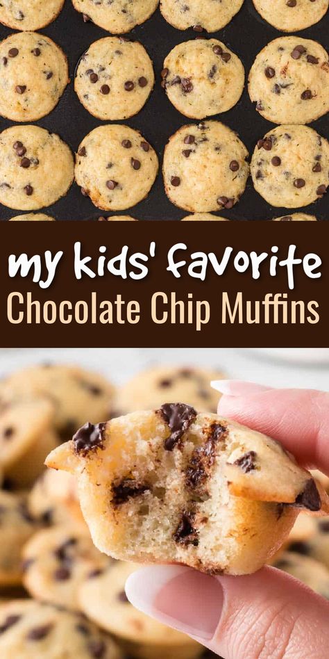 My kids always request these chocolate chip mini muffins! They're easy to make, healthy, and delicious! Healthy Chocolate Mini Muffins, Mini Muffins For Kids Healthy, Healthy Mini Muffins For Toddlers, Simple Muffins For Kids, Healthy Chocolate Muffins For Kids, Mini Muffin Tin Recipes Healthy, Easy Healthy Muffins For Kids, Homemade Little Bites Muffins, Kids Healthy Breakfast Ideas