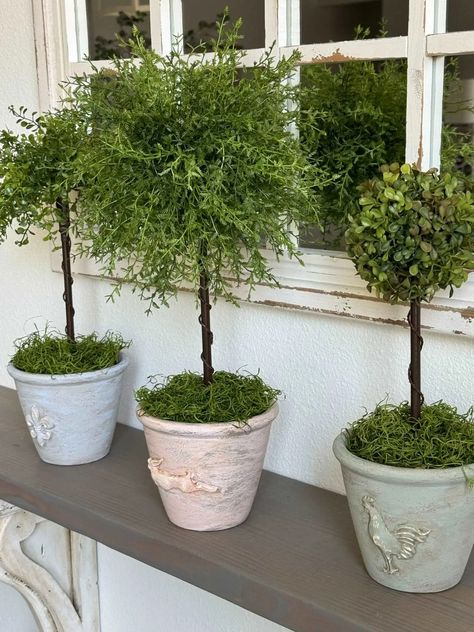 Would you love to have plants in your home but don't want the hassle of watering and pruning? A faux topiary is the perfect solution! Tuscany Trees, Eugenia Topiary, Diy Topiaries, Faux Outdoor Plants, Topiary Decor, Diy Topiary, Faux Topiary, Topiary Centerpieces, Outdoor Topiary