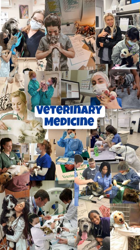 Future Veterinarian Wallpaper, Veterinarian Wallpaper, Vet School Motivation, Future Veterinarian, Vet Tech School, Veterinary Science, Vet Medicine, College Job, My Future Job