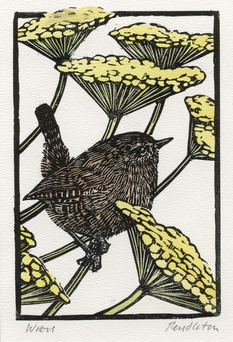 Wren and Tansy Linocut Print Hand Coloured Garden Bird - Etsy Iceland Bird Linocut, Linoleum Printmaking, British Garden, Traditional Ink, Linocut Art, Printmaking Art, Pigment Coloring, Bird Garden, Lino Print