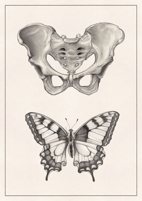 Skeleton Art Butterfly, Anatomy And Nature Art, Bone Reference Drawing, Bone Illustrations, Butterfly Bones, Butterfly Anatomy, Bone Butterfly, Anatomy Artwork, Ink Butterfly