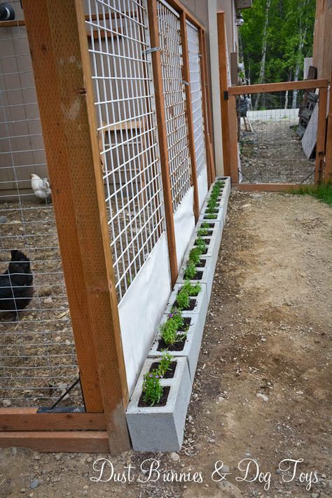 Pallet Backyard, Decorating Backyard, Coop Layout, Reban Ayam, Chicken Yard, Coop Decor, Oasis Backyard, Cute Chicken Coops, Chicken Coop Garden