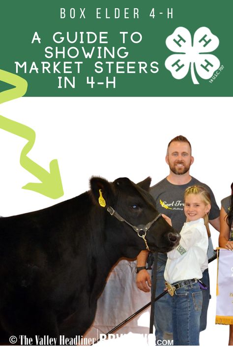 4h Signs For Fair, 4h Beef Show Steers, 4h Demonstration Ideas, Parts Of A Cow, 4-h Poster Ideas, Calf Training, Club Calf, 4 H Clover, Livestock Judging