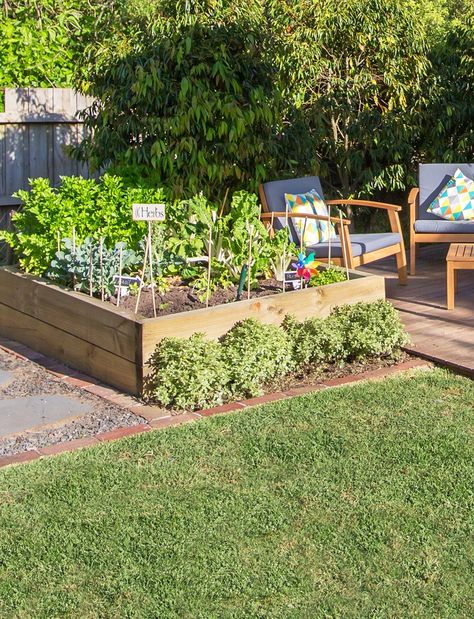 Garden Ideas For Small Yards, Plot Ideas, Vegetables To Grow, Vegetable Patch, Winter Gardening, Veg Patch, Cement Patio, Veggie Patch, Veg Garden