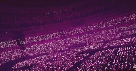 BLACKPINK GLOBAL BLINK on Twitter: "BLINKS ALERT🔔 BLACKPINK👑 has sold more than 700k physical album copies WORLDWIDE #MTVHottest BLACKPINK @ygofficialblink https://t.co/JWg6b4j72X" Pink Ocean Wallpaper, Pink In Concert, Concert Crowd, Blackpink Debut, Instagram Story Filters, Black Pink Background, Pink Ocean, Tokyo Dome, Concert Aesthetic