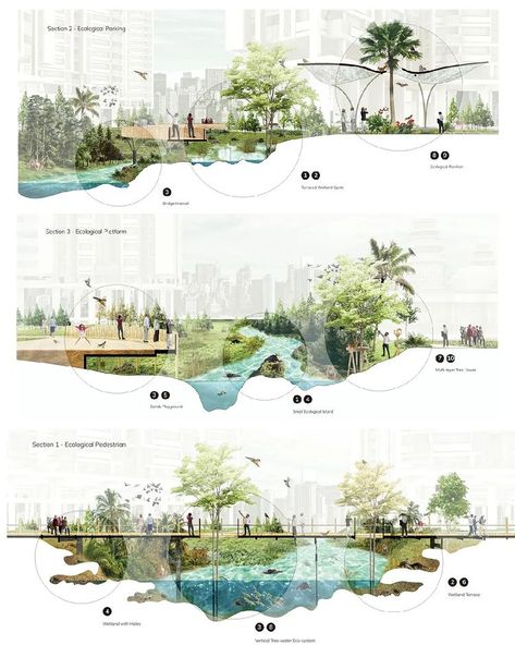 Landscape Architecture Section, Landscape Architecture Presentation, Landscape Diagram, Collage Architecture, Landscape Architecture Graphics, Landscape And Urbanism Architecture, Urban Design Graphics, Urban Design Concept, Landscape Architecture Drawing