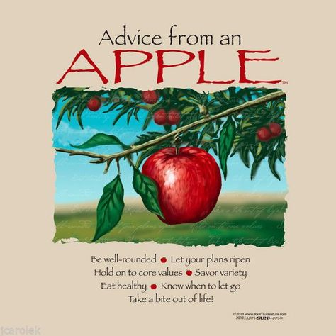 Advice from an Apple T-shirt Earth Sun Moon Fruit Nature XL New with Tags Advice From, Apple Quotes, Fruit Quotes, September Ideas, Baddie Advice, Confidence Motivation, When To Let Go, Wisdom Thoughts, Patience Quotes