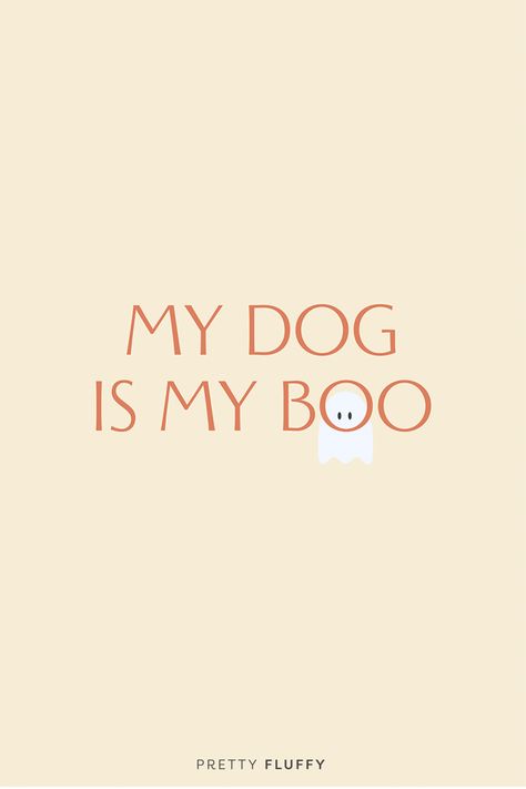 My Dog Is My Boo - Halloween Free Dog Quote Wallpaper - Free Desktop Wallpaper for Dog Lovers | Pretty Fluffy #dogquotes #doglovers #dogquotewallpapers #doghalloween Halloween Dogs Art, Halloween Dog Quotes, Dog Mom Wallpaper Iphone, Dog Mom Aesthetic Wallpaper, Dog Mom Wallpaper, Dog Background Wallpapers, Halloween Dog Wallpaper, My Boo, Dog Quote