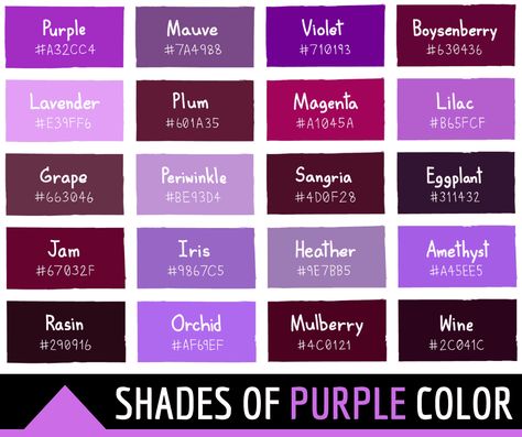 Purple Color Chart, Purple Color Meaning, Purple Color Names, Purple Interior Design, Purple Hex, Purple Color Code, Purple Colour Shades, Purple Names, Intermediate Colors