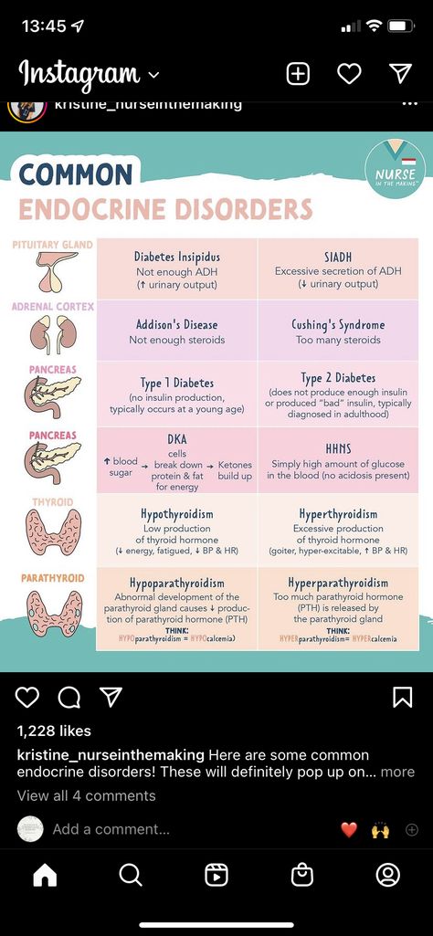 Muscoskeletal Nursing, Raas System Nursing Mnemonics, Simple Nursing Study Guides Endocrine, Pathophysiology Nursing Study Guides, Med Surg Nursing Study, Endocrine Pharmacology, Simple Nursing Study Guides, Nclex Lpn, Ms Nursing