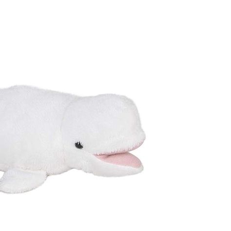 Rhode Island Novelty White Beluga Whale Pounce Pal Plush Stuffed Animal, #AD, #ad, #White, #Rhode, #Novelty #AD Beluga Whale, Girl Toys, Free Girl, Rhodes, Toys For Girls, Rhode Island, Slide Slipper, Stuffed Animal, Toys