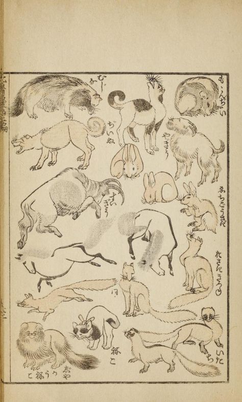 Hokusai manga : Katsushika, Hokusai, 1760-1849 : Free Download, Borrow, and Streaming : Internet Archive Japanese Titles, Katsushika Hokusai, Wood Engraving, Internet Archive, The Borrowers, Vintage World Maps, Free Download, Humanoid Sketch, Internet