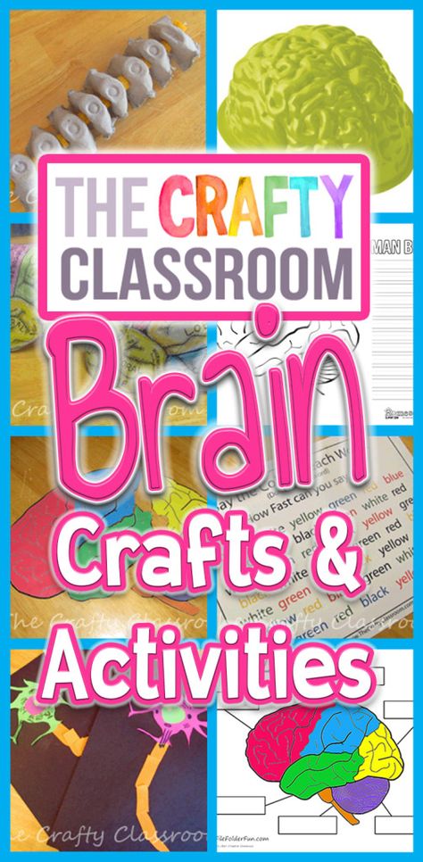 Check out these crafts, activities, and printables you can use during your brain or nervous system unit study!  https://thecraftyclassroom.com/crafts/anatomy-crafts-for-kids/brain-crafts-activities/?utm_campaign=coschedule&utm_source=pinterest&utm_medium=Valerie&utm_content=Brain%20Crafts%20and%20Activities Nervous System Craft, The Brain For Kids, Nervous System Projects, Human Body Unit Study, Nervous System Activities, Human Body Projects, Brain Craft, Human Body Science, Human Body Activities