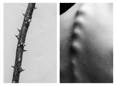 Self Portrait Photography, Minimalist Photography, Photographie Art Corps, Human Body Art, Body Art Photography, Body Photography, Photographie Inspo, Foto Art, Photography Awards