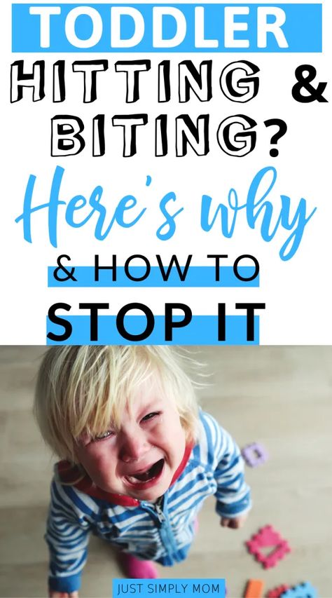 8 Reasons Your Toddler is Hitting or Biting and How to Stop It. Aggressive Toddler, Hitting Toddler, Toddler Speech, Parent Advice, Toddler Parenting, Raising Teenagers, Behaviour Strategies, Toddler Biting, Toddler Behavior