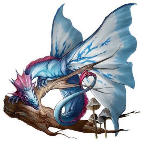 Faerie Dragon, Chromatic Dragon, Dragon Png, Dragon Family, Tiny Dragon, Dragon Heart, D D Monsters, Fairy Dragon, Legendary Creature