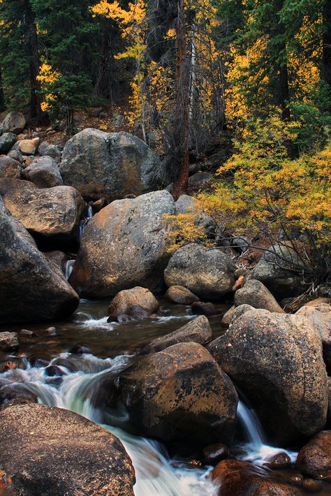 Georgetown Colorado, Mountain Streams, Wilderness Camping, Mountain Stream, Fairy Queen, 수채화 그림, Autumn Scenery, Camping Tips, Closer To Nature