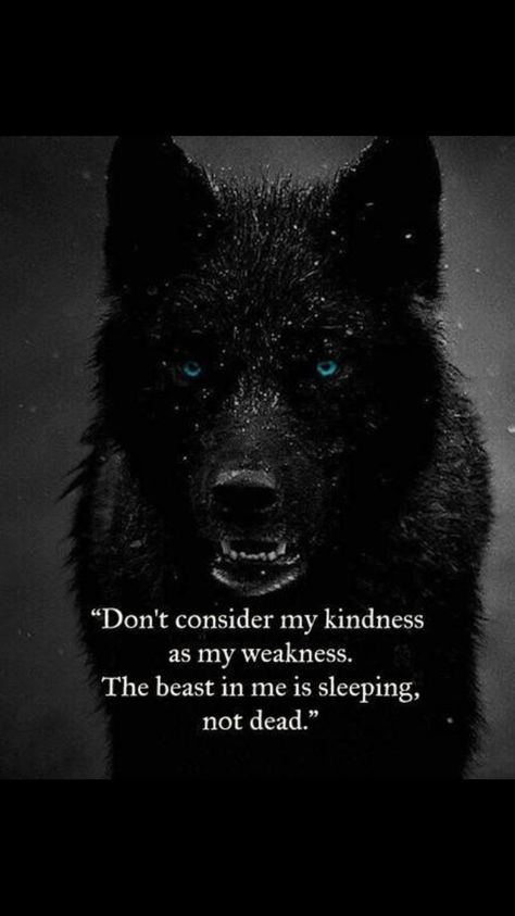 Sleeping Wolf, Lone Wolf Quotes, Beast Quotes, Quotes Encouragement, Wolf Quotes, She Wolf, Warrior Quotes, Writing Contests, Lone Wolf