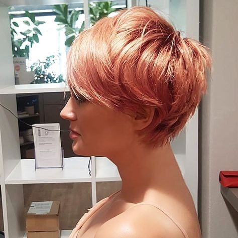 Rose Gold Pixie, Pixie Hair Color, Short Red Hair, Cool Short Hairstyles, Short Hair Color, Short Pixie Haircuts, Trending Hairstyles, Short Hair With Bangs, Girl Short Hair