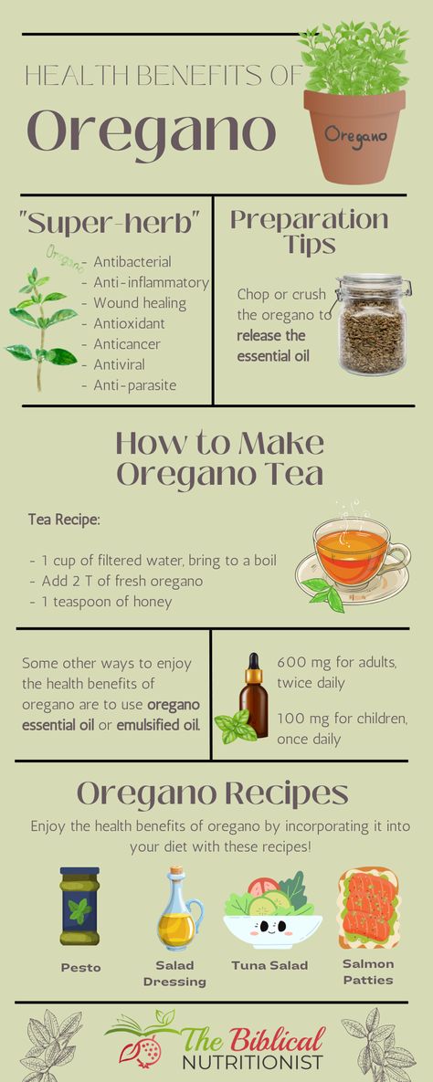 Easy Herbal Remedies, Oregano Herb Benefits, Oregano Tea Recipe, Oregano Tea Benefits, Oregano Benefits, Antiviral Herbs, Benefits Of Oregano, Oregano Tea, Medicinal Recipes