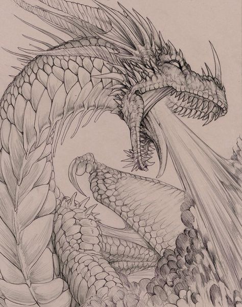 "Fire Breather" by hibbary via DeviantArt Dragon Fire Drawing, Dragon Drawing Ideas Simple, Fire Dragon Drawing, Dragon Art Sketch, Dragon Drawing Ideas, Fire Dragon Art, Dragon Art Drawing, Fertility Goddess, Realistic Dragon