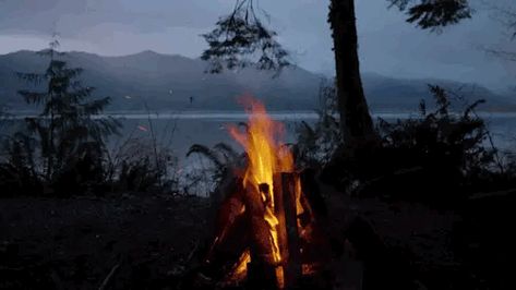 Campfire Gif, Cinemagraph Inspiration, Cinemagraph Gif, Child Genius, Camping For Beginners, Should Have Known Better, Create Animation, Let Her Go, Girl Guides