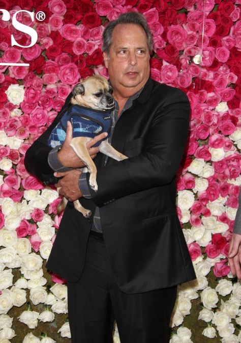 Jon Lovitz and friend. @orishagirl , omg, look at that dog's teeth! They're splendid! Jon Lovitz, Dog Teeth, Jennifer Aniston, Pretty Men, In Hollywood, Peplum Dress, To Work, Look At, Hollywood