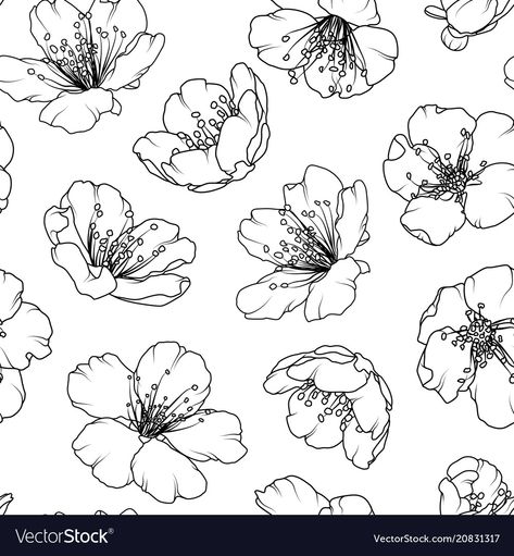 Cherry sakura blossom floral seamless pattern Vector Image Cherry Blooms Drawing, Floral Outline Drawing, Sakura Tree Drawing, Cherry Blossom Line Art, Cherry Blossoms Drawing, Cherry Blossom Outline, Sakura Drawing, Sakura Illustration, Cherry Blossom Drawing