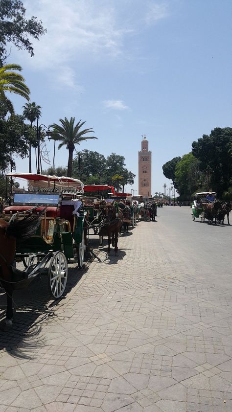 Morocco Wallpaper, Moroccan Nights, Moroccan Aesthetic, Paris Travel Photography, Tangier Morocco, Moroccan Inspiration, Hospital Photography, Photography Pics, Morocco Travel