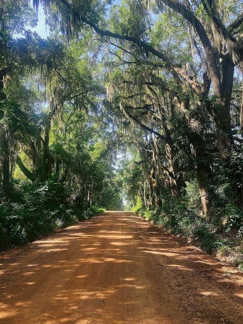 Dirt Roads | Valdosta Georgia | Facebook Waycross Georgia, Georgia Aesthetic, Blairsville Georgia, Valdosta Georgia, Summer Core, Dirt Roads, Quiet Life, Dirt Road, Savannah Ga