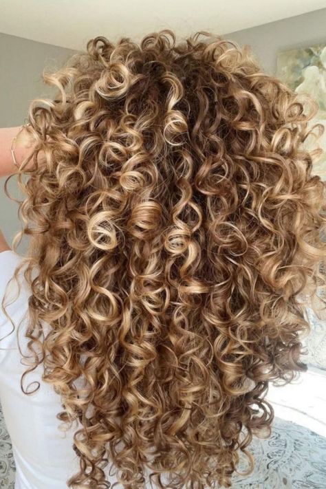 Caramel Blonde 3C Ringlet Curls Curly Hair With Caramel Highlights, Hair Chestnut Brown, Caramel Blonde Highlights, Blonde Caramel Highlights, Curly Hair Color Ideas, White Ombre Hair, Blonde Highlights Curly Hair, Curly Hair Color, Curly Highlights