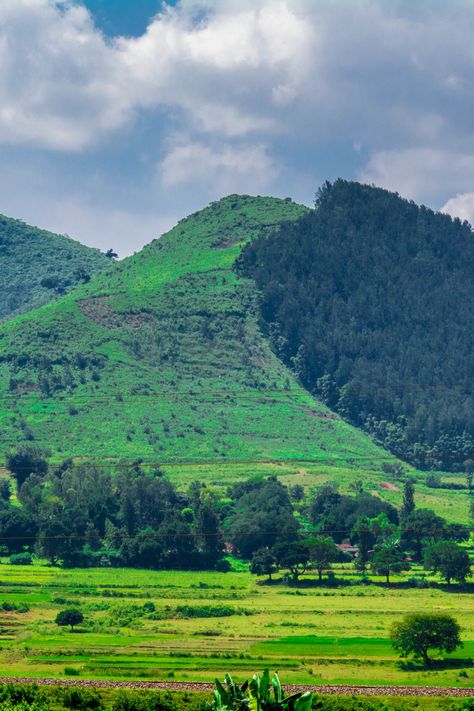 Araku Valley is one of the most photogenic valleys of India located in the Eastern Ghats in the state of Andhra Pradesh. Fondly called ‘the Ooty of Andhra Pradesh’ the Araku Valley is generously blessed with dazzling waterfalls, dense green forests, sprawling coffee plantations and is a popular tourist destination attracting tourists from India and abroad. Besides exquisite green countryside and rich tribal culture, the Araku valley offers other fascinating places to explore. Araku Valley Photography, Andhra Pradesh Culture, Araku Valley, Saraswati Photo, Places To Explore, Krishna Wallpapers, Solo Trip, Ooty, Lord Krishna Wallpapers