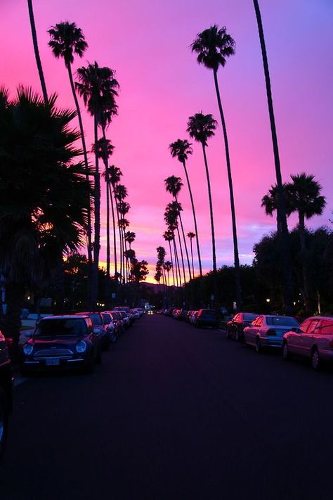 Tumblr Backgrounds, California Art, Photos Tumblr, Tumblr Photography, Tumblr Wallpaper, Pink Sky, Sky Aesthetic, Aesthetic Iphone Wallpaper, Palm Trees