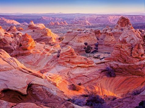 SOUTH COYOTE BUTTES Coyote Buttes, Utah Trip, Arizona Photography, Hiking Poles, Colorful Places, Dry Heat, Utah Travel, Moab Utah, Canyon Road