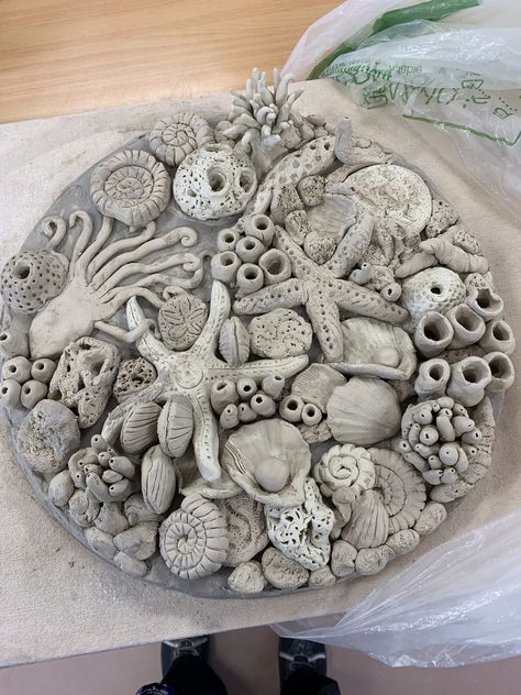 Ceramic Shells Ideas, Gcse Art 3d Final Piece, Ocean Sculpture Ideas, Ks3 Art Projects, Advanced Ceramics Projects, Ceramic Coral Reefs, Coral Clay, Higher Art, Shell Sculpture